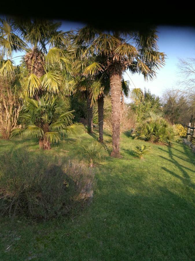 Le Coing Villa La Guiltiere Bagian luar foto